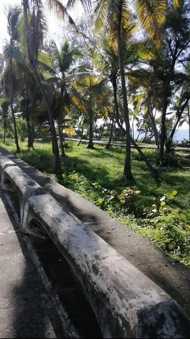 Apartman Escape Oceanfront 3Br Condo In Avenida Espana 9Flr With Pool Santo Domingo